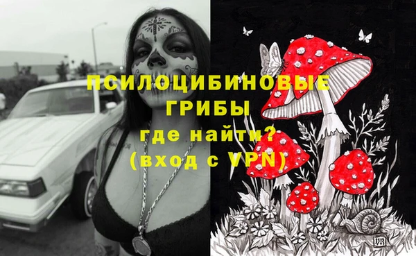 прущий лед Белокуриха