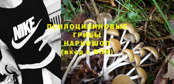 стаф Белоозёрский