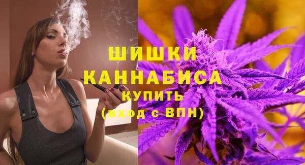 дживик Баксан