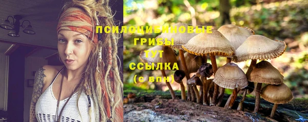 дмт Балабаново