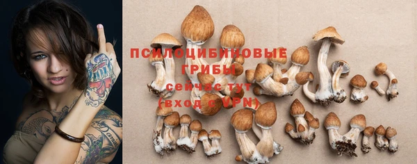 дмт Балабаново