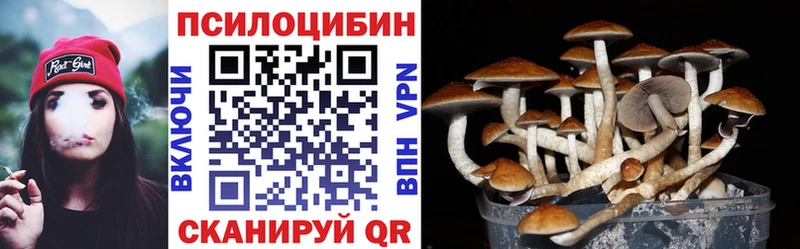 Купить  Пролетарск  Галлюциногенные грибы Psilocybe 